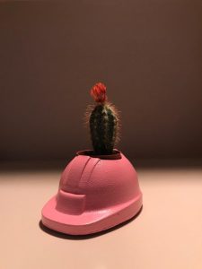 Baretüs - Pembe